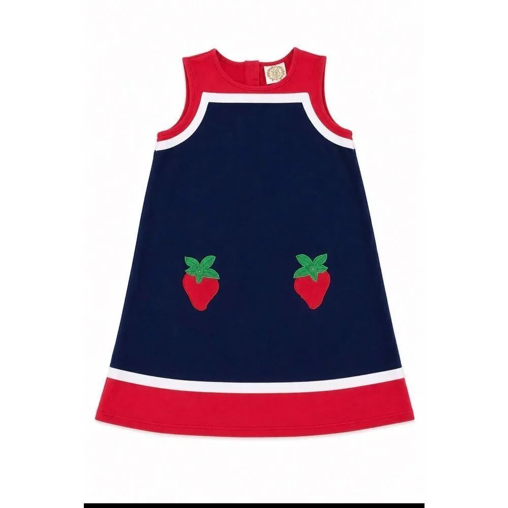 Beaufort Company Girls Strawberry Dress Size 12 Navy Red Preppy Boutique A-Line